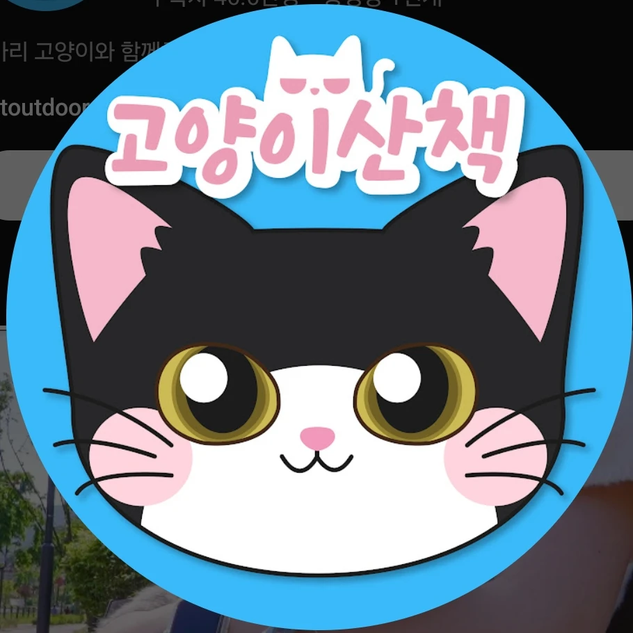 고양이산책