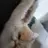 냥이