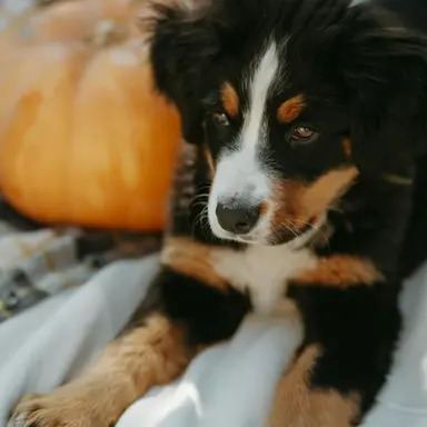 Profile image of 최지수