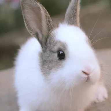 Profile image of 신유나