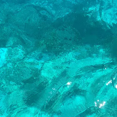 Profile image of lulu