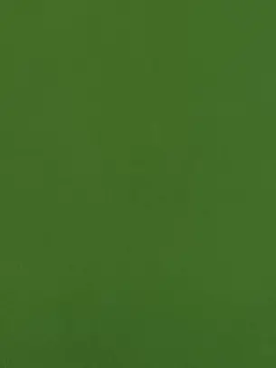 .....-__o의 インスタライブ。