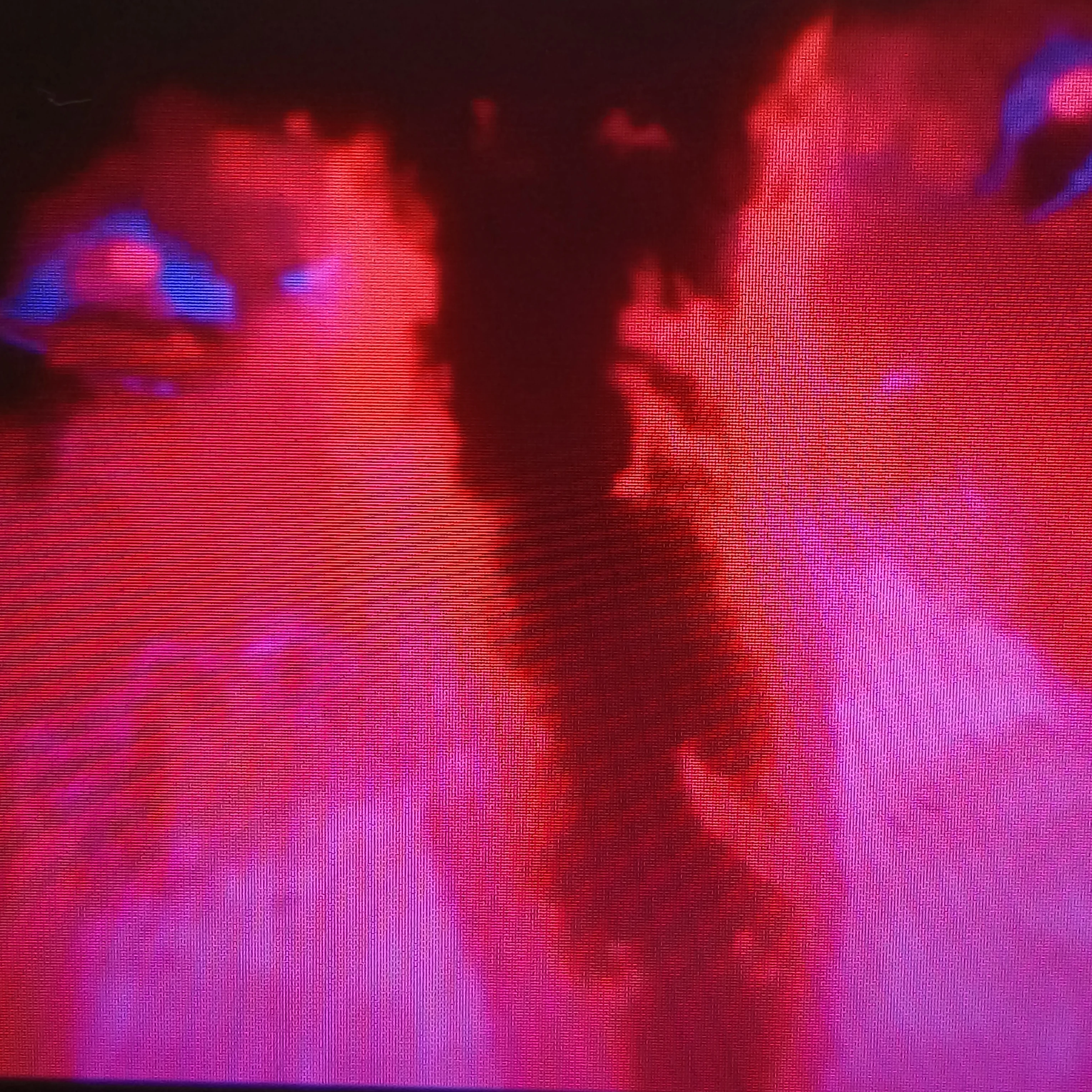 귀마