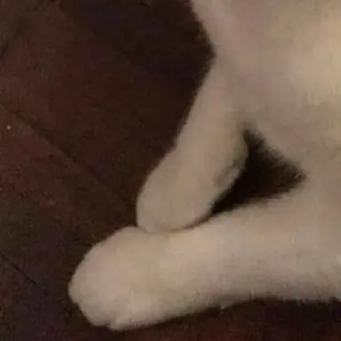 Profile image of ジョンウォン