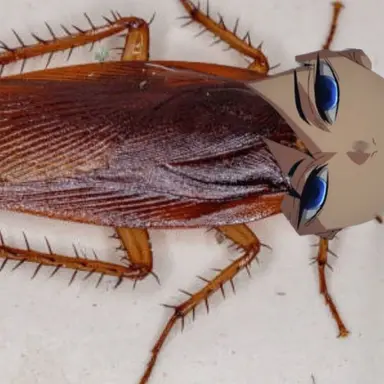 Profile image of 기유