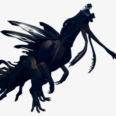 Profile image of 코라토스