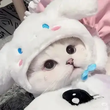 Profile image of Jenny