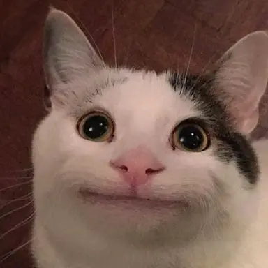 Profile image of 설명자