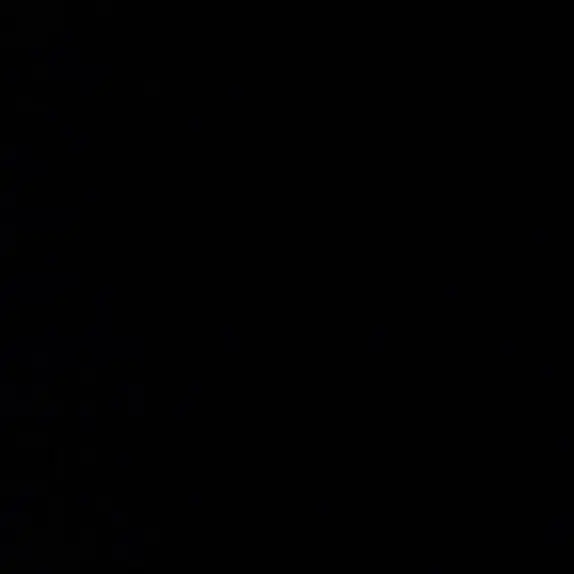 MeagerDolce1754의 SEVENTEENの最年長兼副統括