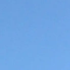 Profile image of 渡辺翔太