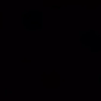 김요한