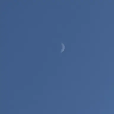 Profile image of 채스터