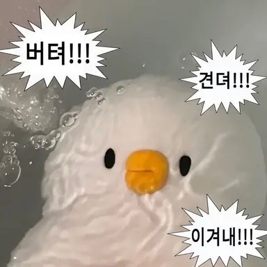 Profile image of 키츠네