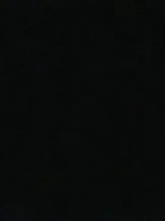 diningroom_HLBLGL의 동백꽃과 목련.