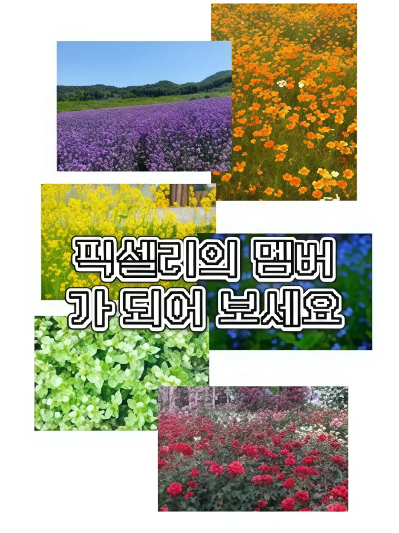 VastMist0036의 픽셀리의 멤버가 되어보세요!