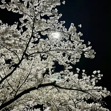 Profile image of 박태호