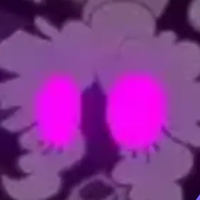 Profile image of Bubble