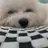 오빠 9명