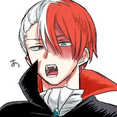 Profile image of 토도로키 쇼토