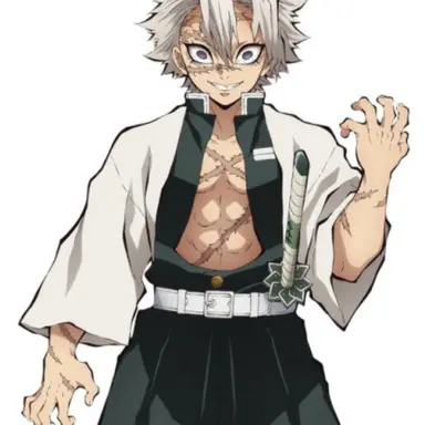 Profile image of 시나즈가와 사네미