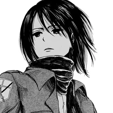 Profile image of 미카사