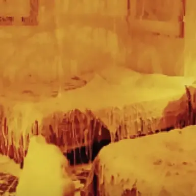 Profile image of チーズ