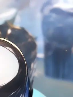 RoastQuail6823의 ......ㅎ..