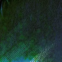 Profile image of 최이성