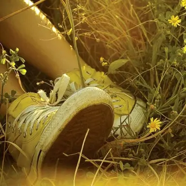 Profile image of Yoo Serin
