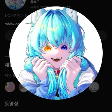 Profile image of 료미