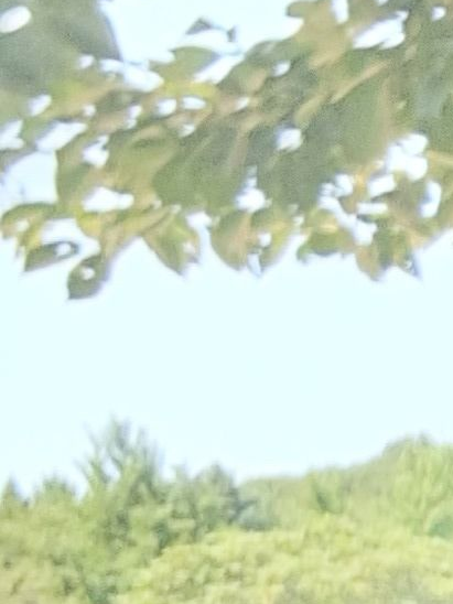 왁스조(슬램덩크) 대표 이미지