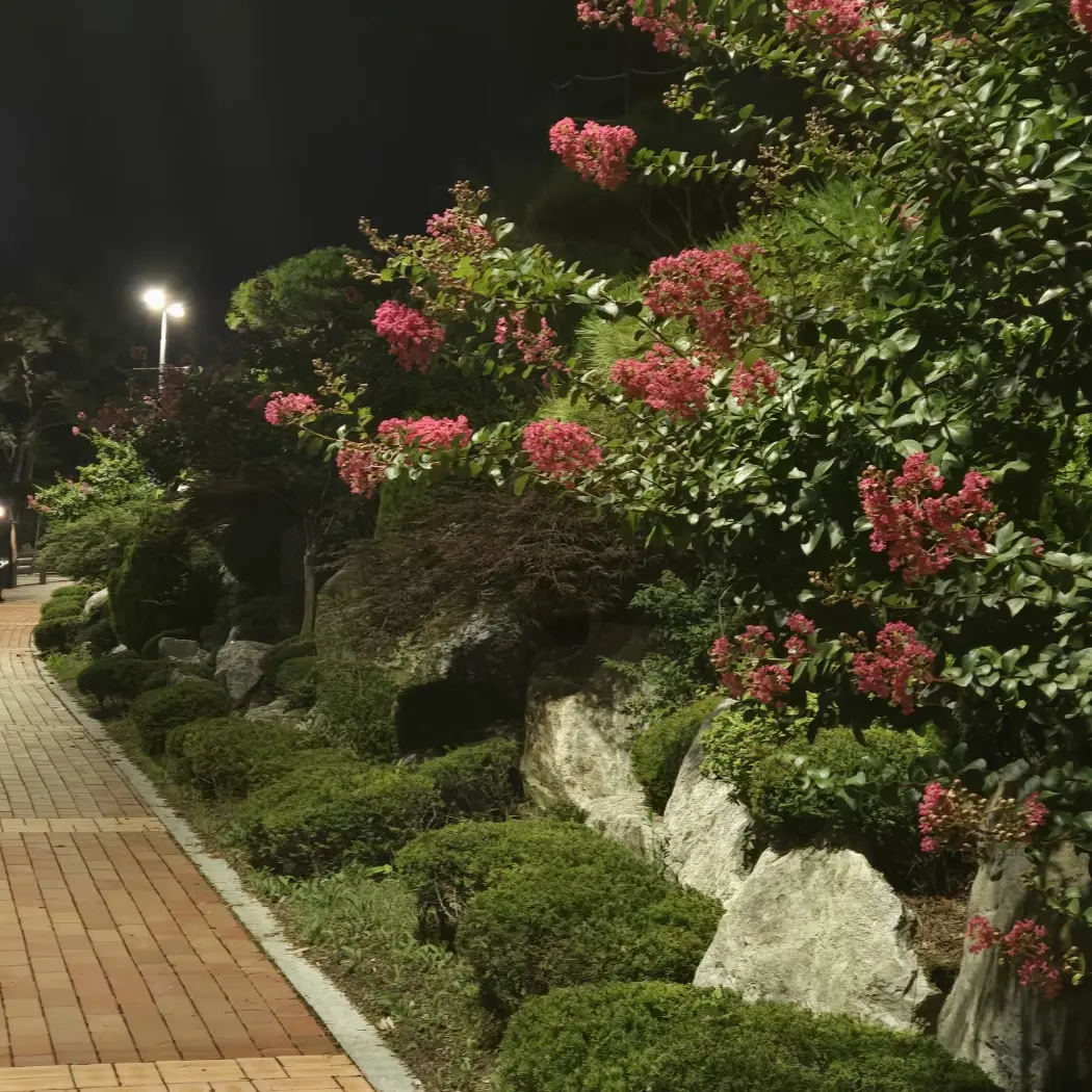 PoliteTear0642의 권지용