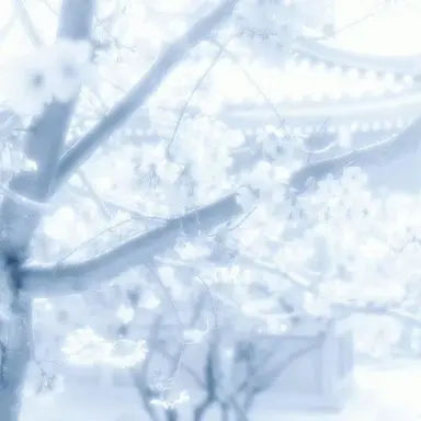 Profile image of 포구