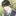 백지안