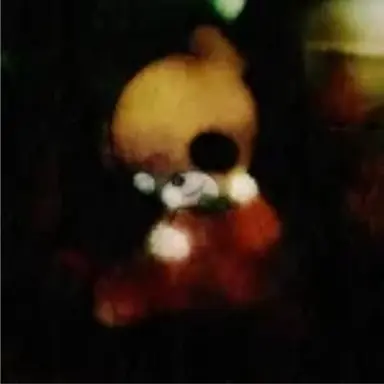 Profile image of 행복한 테디