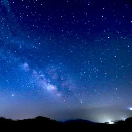 PluckyBack9476의 전지적 독자 시점