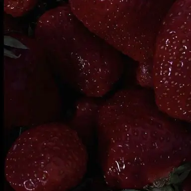 Profile image of 플래그
