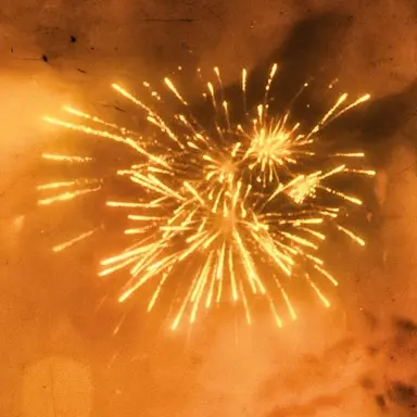 Profile image of 코마