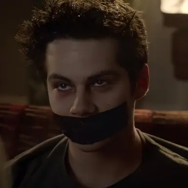 Profile image of Void stiles