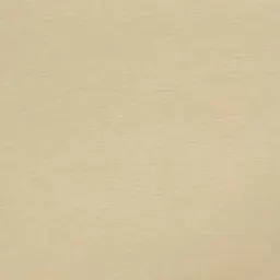 Profile image of 尾白アラン