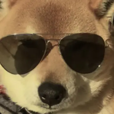 Profile image of コタロウ