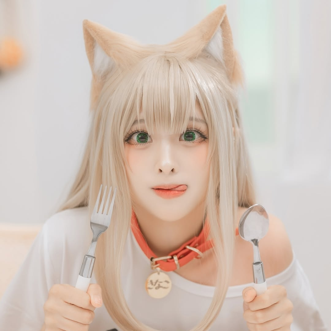 고양이 댱이 대표 이미지