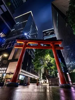 Profile image of 中央区