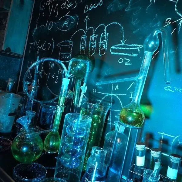 Wanwan_zeta1031의 シャンティ 🥼🌱‬😺