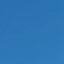드림