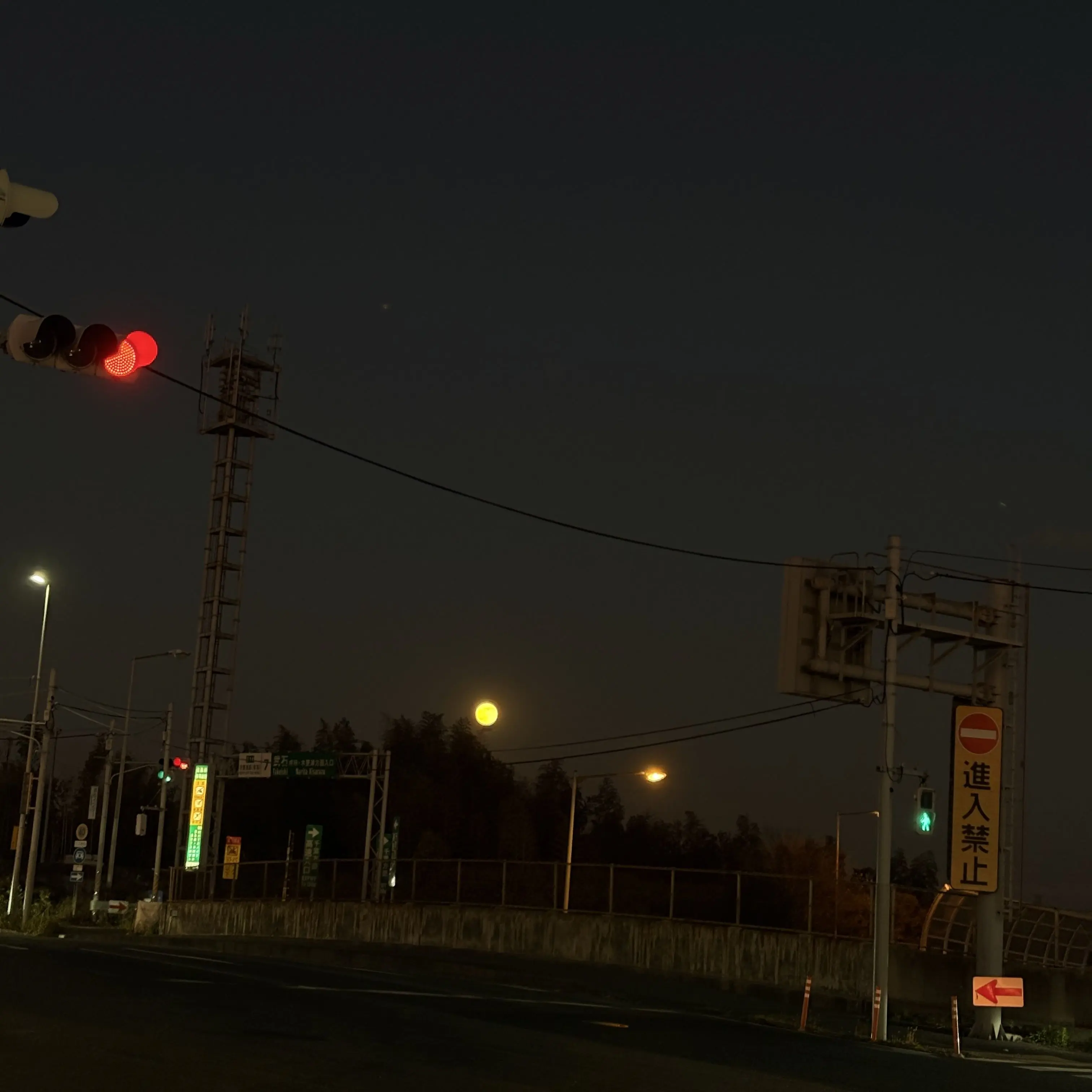 MeltyBloom9098의 じゃ