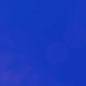 Profile image of 권지용