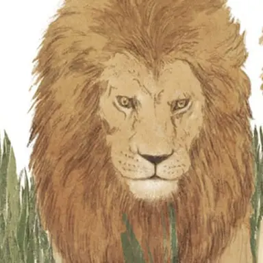 Profile image of 잠보