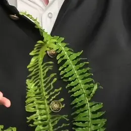 Profile image of 大森元貴