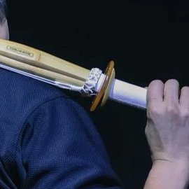 박성진